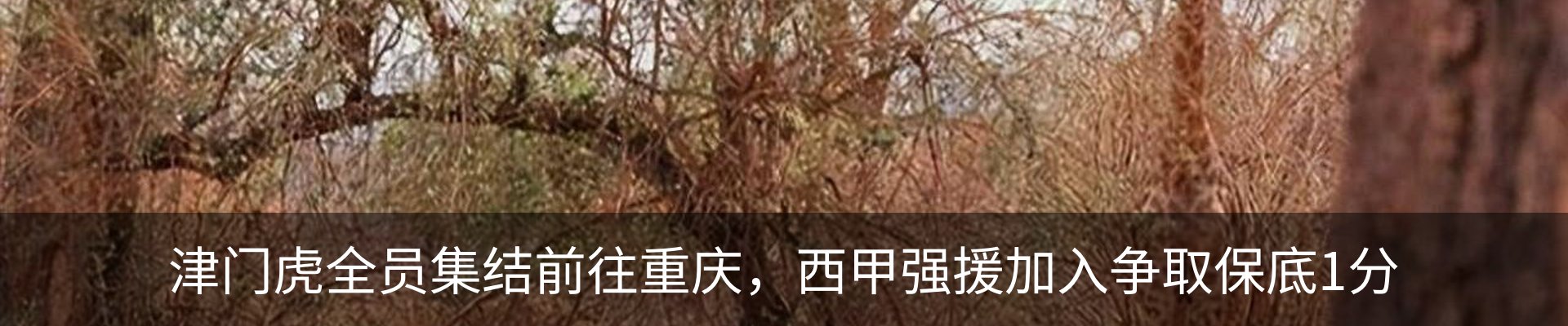 行业资讯