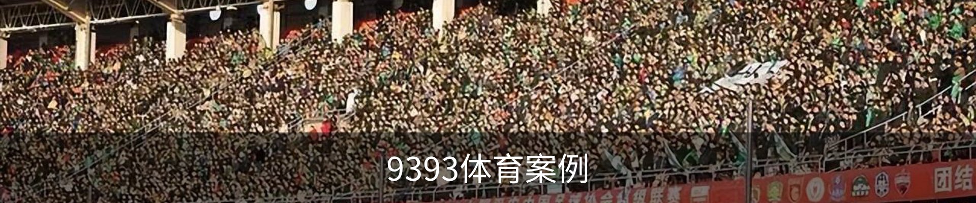 9393体育案例